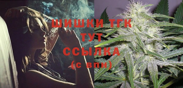 тгк Арсеньев