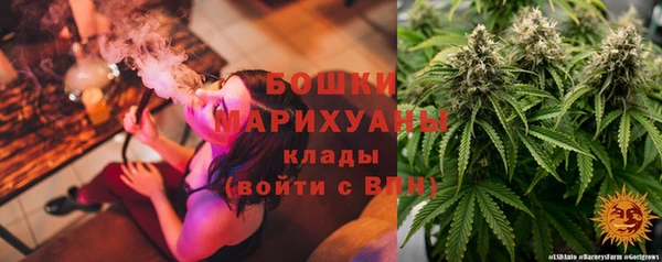 тгк Арсеньев