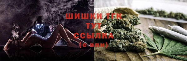 тгк Арсеньев