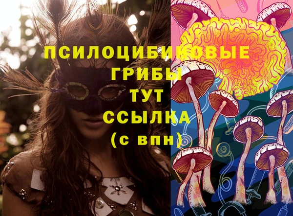 герыч Аркадак